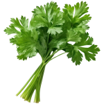 Untitled design (94)